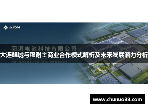 大连鲲城与穆谢奎商业合作模式解析及未来发展潜力分析