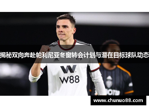 揭秘双向奔赴帕利尼亚冬窗转会计划与潜在目标球队动态